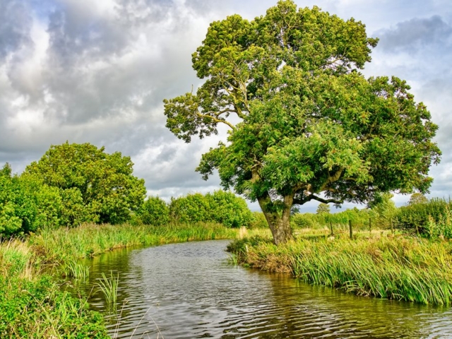 River Flowing Through English Countryside River Flowing Through English Countryside