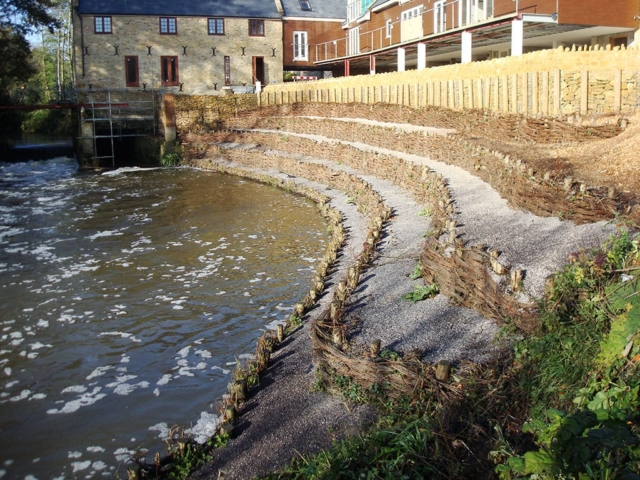 Bank Revetment using Willow Natural Bank Revetment using Willow in Somerset