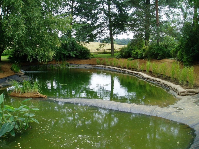 Creating Marginal Aquatic Planting Areas Marginal Aquatic Planting in Large Pond in Hampshire