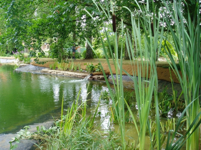 Pond Marginal Planting Pond Planting with Coir
