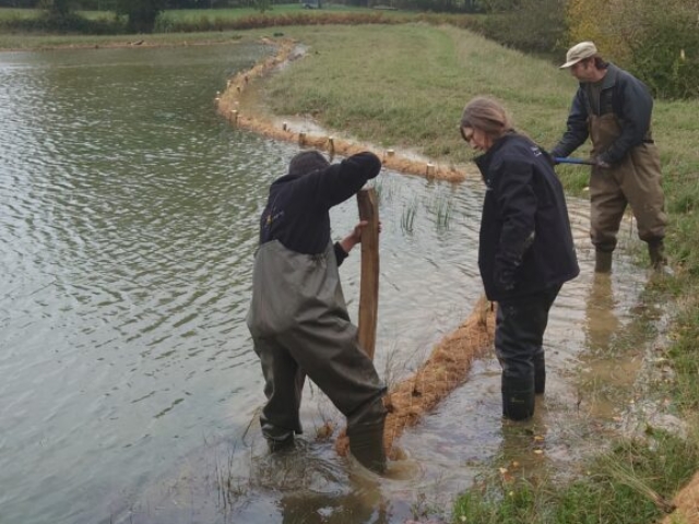 Pond and Lake Bank Stabilisation with Planted Coir Rolls Bank Stabilisation with Planted Coir Rolls on a Lake