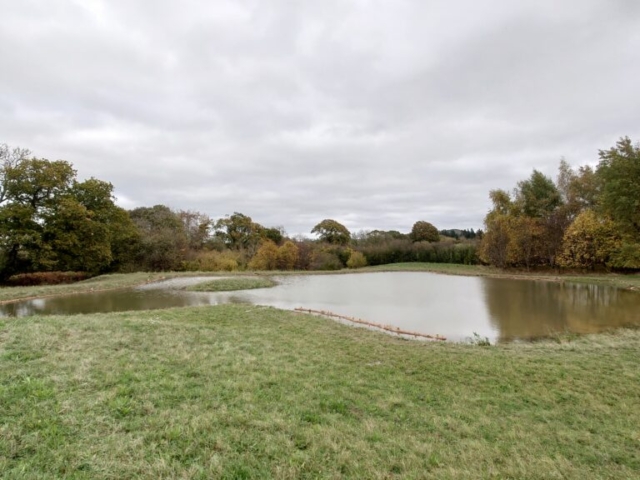 Lake Erosion Control with Planted Coir Rolls Pond and Lake Erosion Control with Planted Coir Rolls