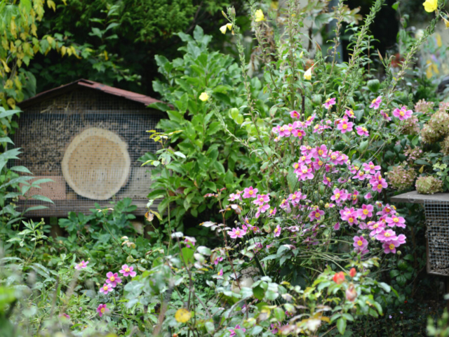 Bug Hotel in Country Garden