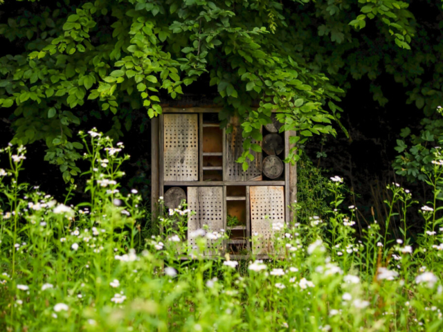 Insect House & Bug Hotel in Garden