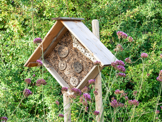 Insect Hotel in Cottage Garden