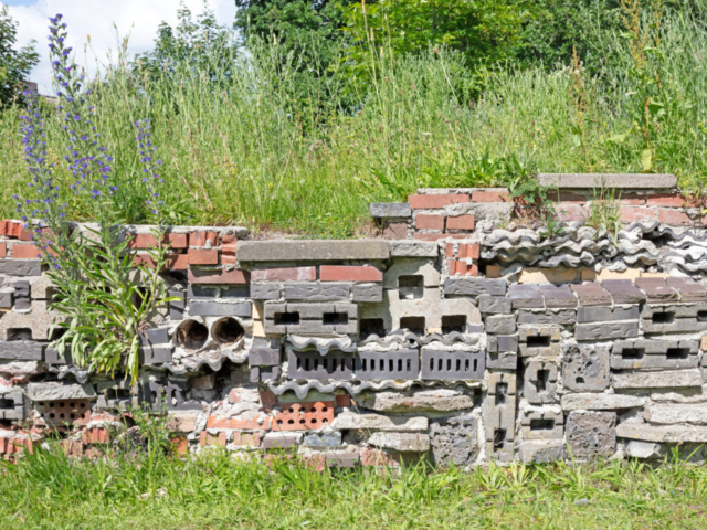 Insect Mansion in Field