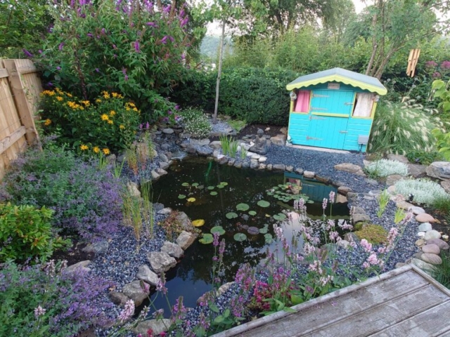 Bee & Insect Friendly Wildlife Pond in Devon