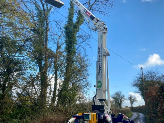Significant Reduction of Ash Tree with Dieback in Devon Ash Dieback Devon