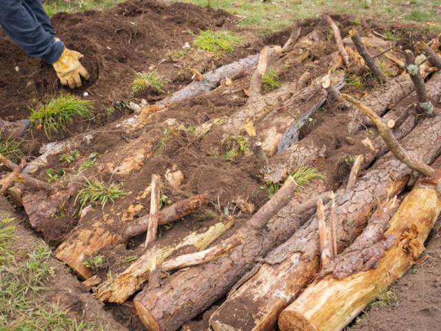 Log Piles for Hibernaculum