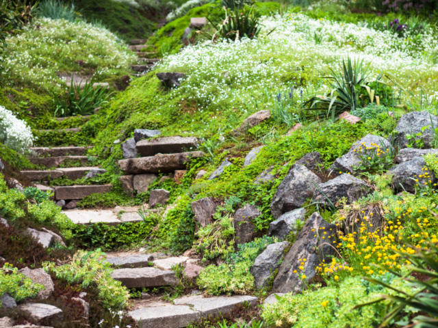 Natural Stone Steps in Garden