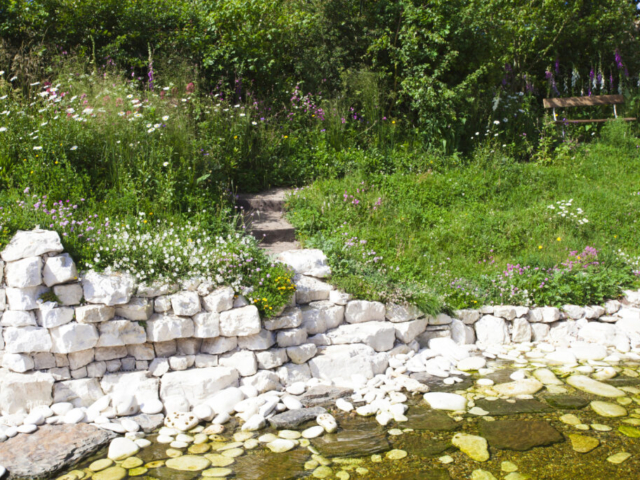 Stone Walling with Shallow Pond