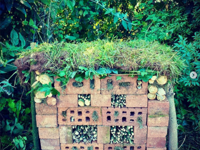 Bug Hotel in Devon Made from Recycled Materials
