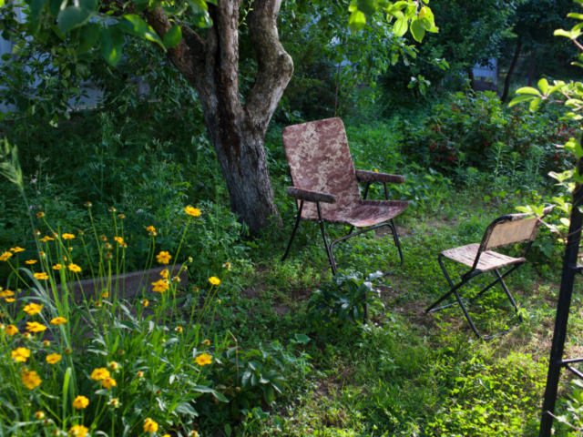 Sitting for Wellbeing in Amongst Nature