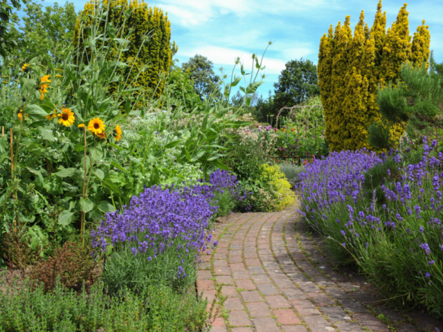 Wildlife Friendly Footpath Edged