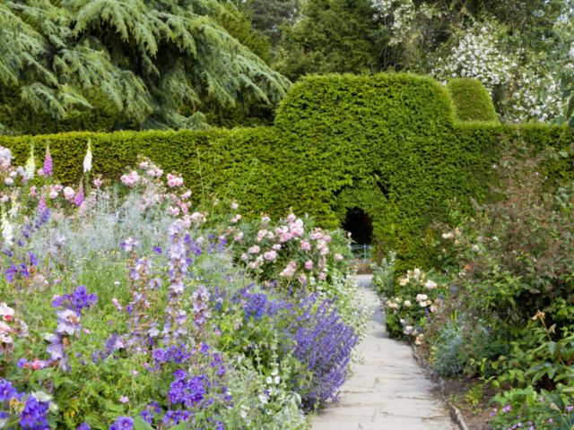 Footpath with Flowering Garden in Summer