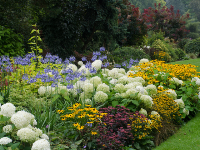 Beautiful Perennial Planting