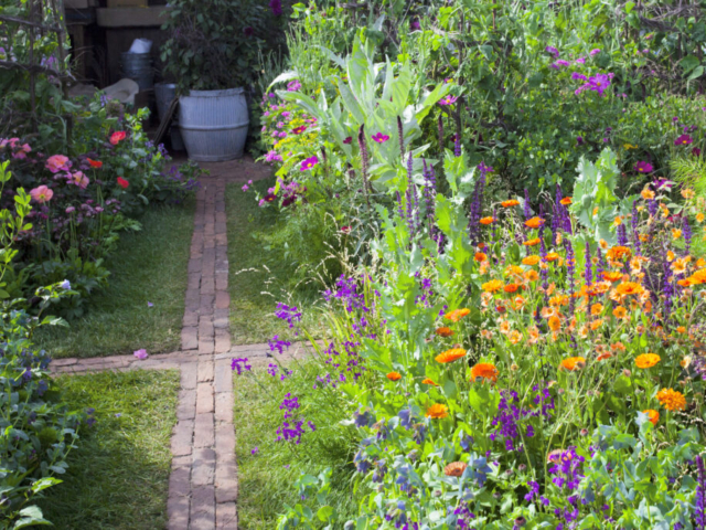 Cottage Garden Landscape Devon