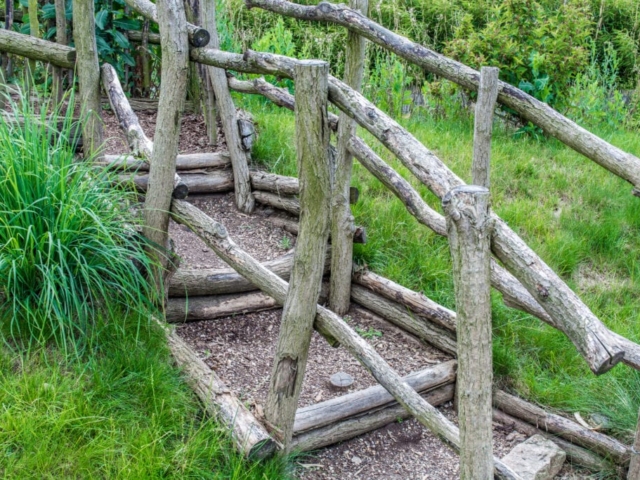 Natural Wooden Steps and Railings