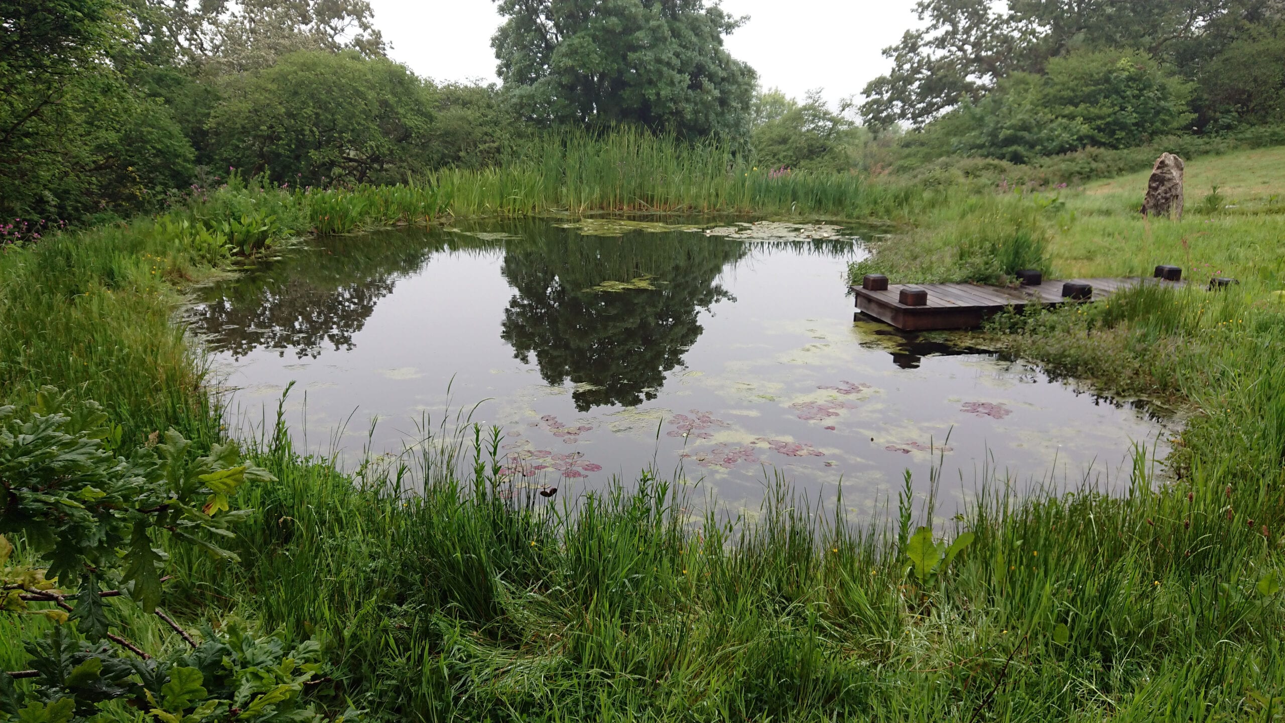 Images Of Natural Ponds images-of-natural-ponds