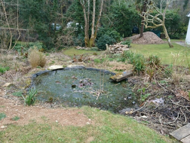 Original Site Showing Dilapidated Pond Looking Downhill Pond Landscaping Devon