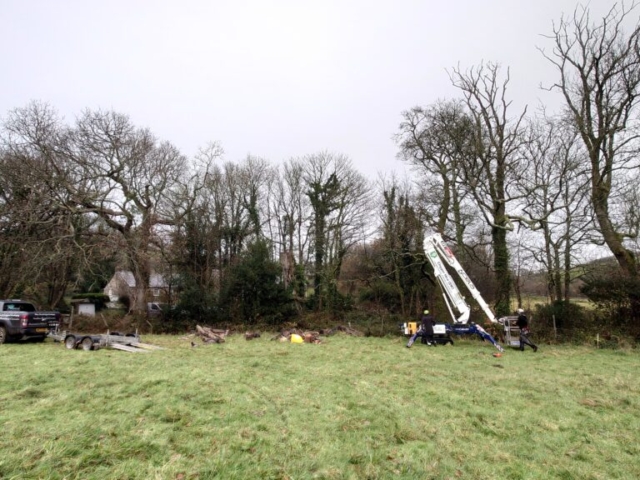Setting up Safe Working Platform Arboriculture Devon