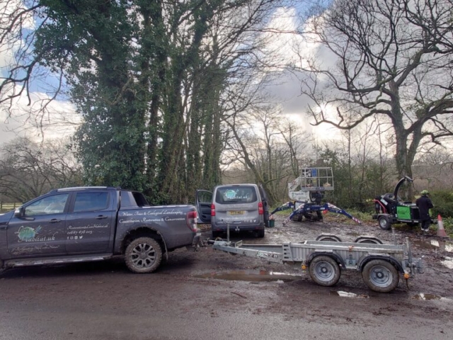 Mobilising Site & Assessing Project Tree Surgery Devon