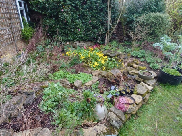 Overgrown Area with Historic Pond Before Work Overgrown Area with Historic Pond in Dorset
