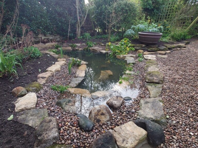 Newly Renovated Wildlife Pond Renovated Wildlife Pond in Dorset