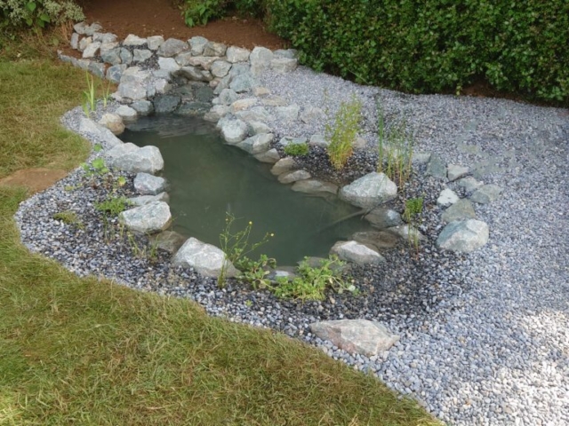Wildlife Pond Completed with Planting Pond Design Devon