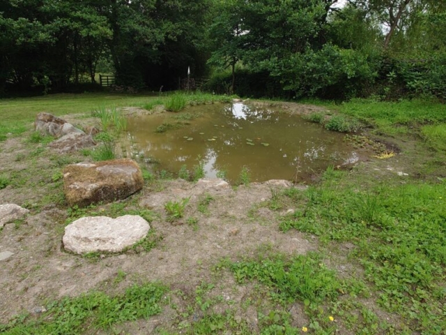 Wildlife Pond Completed & Planted Wildlife Pond Devon