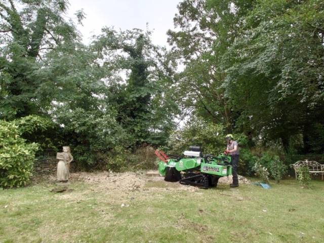 Stump Grinding to Remove Tree Stump Grinding Devon