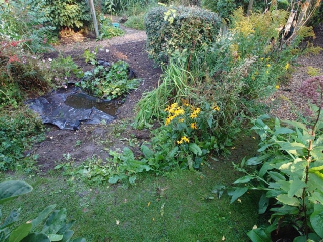 Existing Pond Prior to Commencement of Project Old Pond Dorset