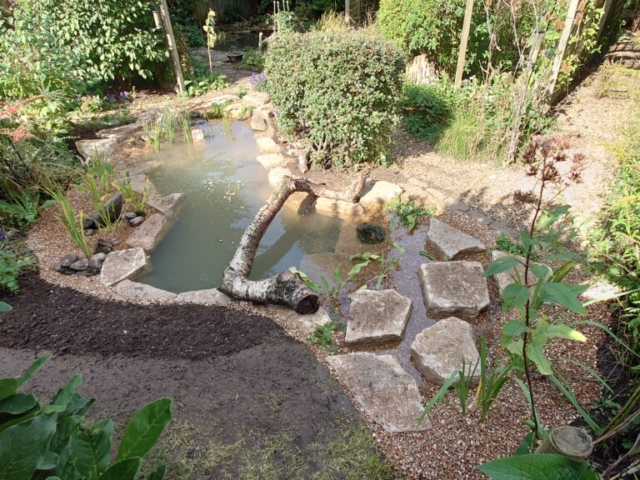 Completed Pond with SteppingStones and Native Planting Wildlife Pond Dorset