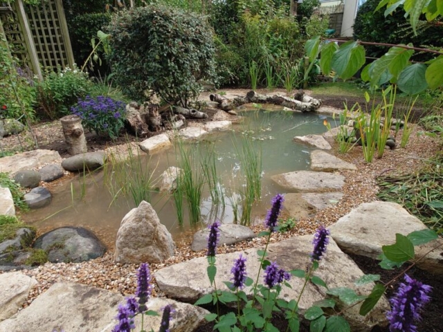 Completed Pond with SteppingStones and Native Planting Wildlife Pond Dorset