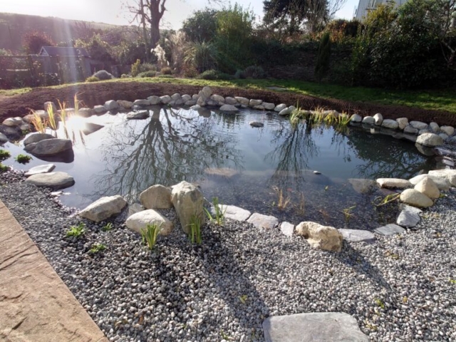 Completed Pond, Waiting for Spring to Flower Wildlife Pond Devon