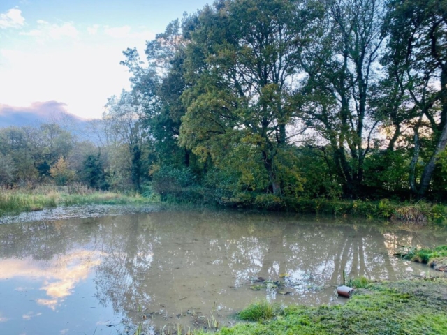 Lake after Removing Invasive Weeds in Devon Lake After Removing Invasive Weeds in Devon