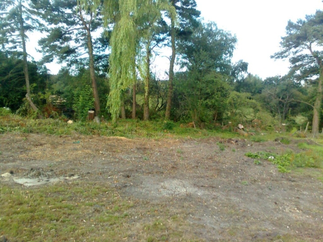 Site Cleared Prior to Setting Out & Excavation Wildlife Pond Construction