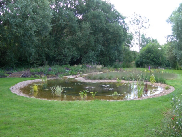 Finished Wildlife Pond Wildlife Pond Devon