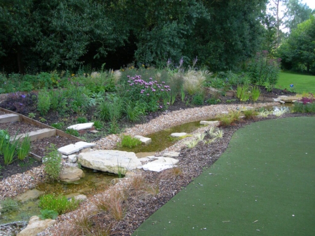 Rill Joining Two Areas of Pond for Wildlife Access Wildlife Pond Stream Devon
