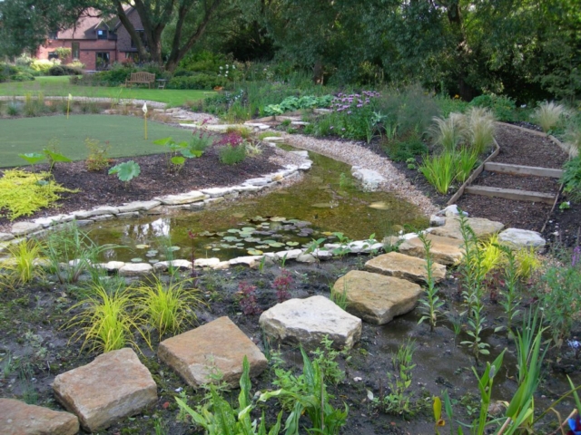 Stepping Stones Through Bog Garden Stepping Stones & Bog Garden