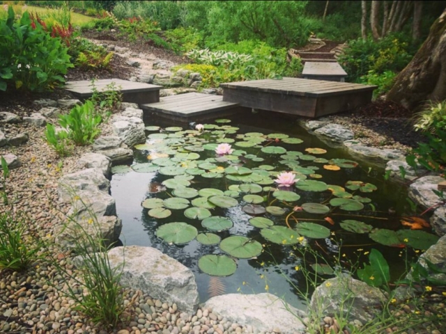 One Year After Completion Showing Lower Pond Landscaping Pond Devon