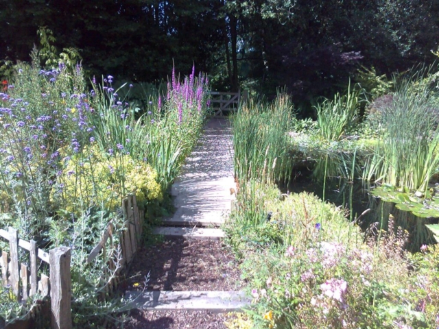 Aquatic Planting Two Years on... Aquatic Planting Wildlife