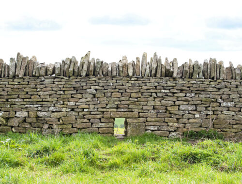 Gardening Ecologically