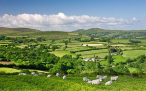 FiPL Dartmoor Devon