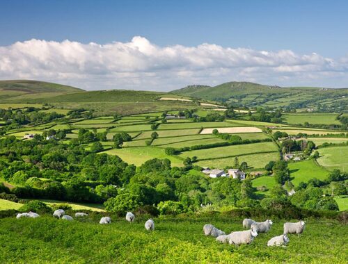 FiPL Dartmoor Devon
