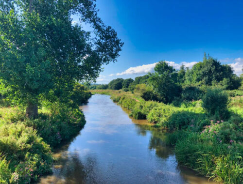 Up Stream Thinking Devon