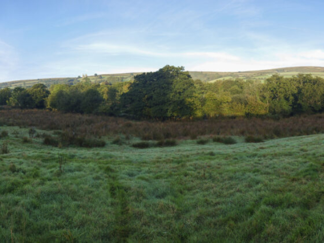 Wetland Site Prior to Works Wetland Site Dartmoor National Park