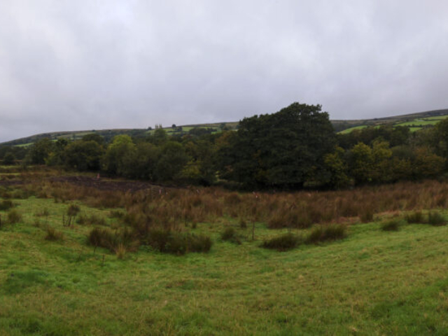 Setting Out Area for Wetland Restoration Wetland Restoration Site, Dartmoor National Park