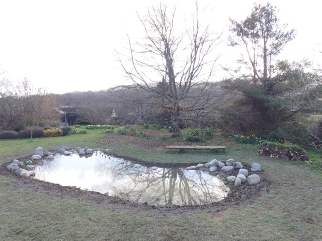 Wildlife Pond Prior to Aquatic Planting Wildlife Pond Prior to Aquatic Planting in Dartmoor National Park