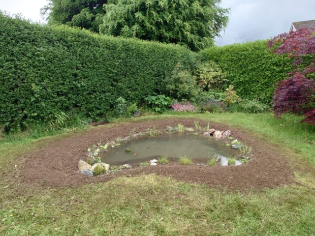 Planted Wildlife Pond Planted Wildlife Pond in Devon